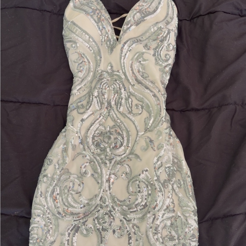 Windsor Silver Sequin Backless Dress